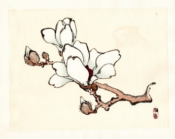 Kono Bairei : Magnolia Branch in Bloom Woodblock
