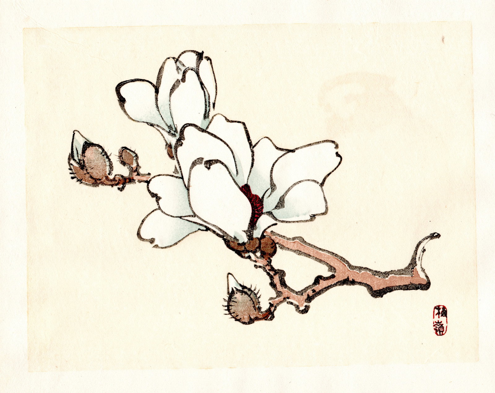 Kono Bairei : Magnolia Branch in Bloom Woodblock: Artist: Kono Bairei (1884-1895). Title: "Magnolia Branch in Bloom" Format: Horizontal, unframed never mounted book plate illustration from the multi-volume Bairei Gakan series. Medium: Woodblock repri