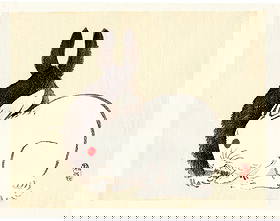 Kono Bairei : Two Rabbits Woodblock: Artist: Kono Bairei (1884-1895). Title: "Two Rabbits" Format: Horizontal, unframed never mounted book plate illustration from the multi-volume Bairei Gakan series. Medium: Woodblock reprint on washi t