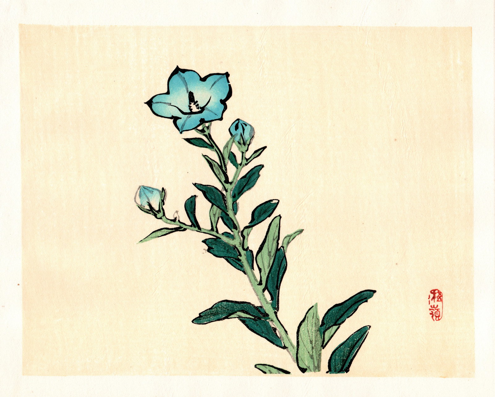 Kono Bairei : Blue Flowering Stem Woodblock: Artist: Kono Bairei (1884-1895). Title: "Blue Flowering Stem" Format: Horizontal, unframed never mounted book plate illustration from the multi-volume Bairei Gakan series. Medium: Woodblock reprint on