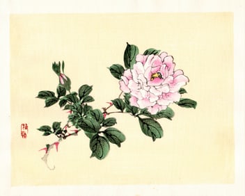 Kono Bairei : Peony with Bee Woodblock
