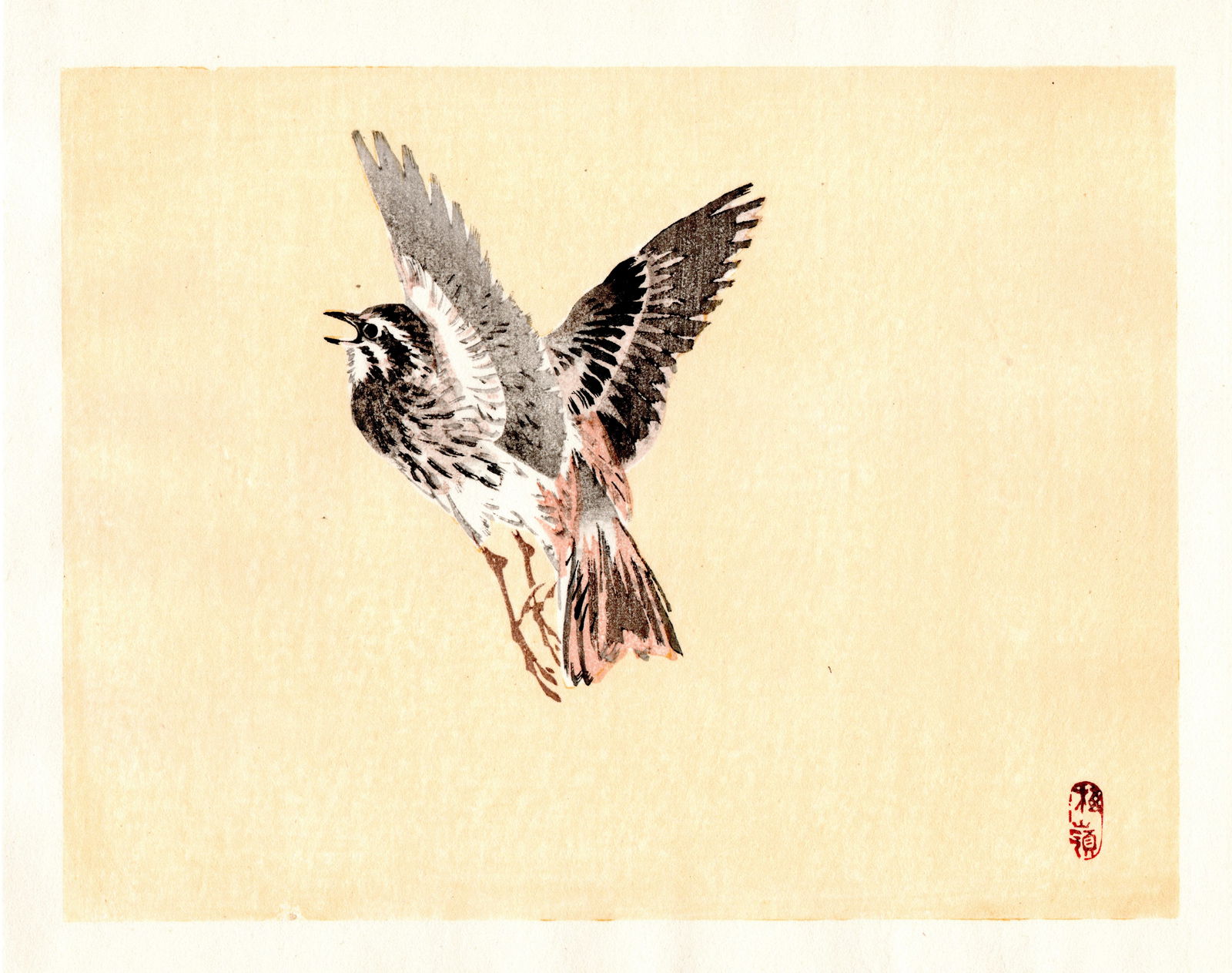 Kono Bairei : Bird in Flight Woodblock: Artist: Kono Bairei (1884-1895). Title: "Bird in Flight" Format: Horizontal, unframed never mounted book plate illustration from the multi-volume Bairei Gakan series. Medium: Woodblock reprint on wash
