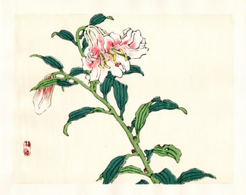 Kono Bairei : Blooming Lilies Woodblock