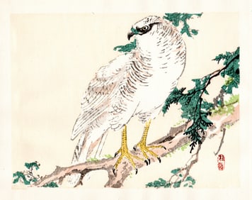 Kono Bairei : Hawk on Branch Woodblock