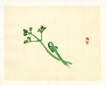 Kono Bairei : Curled Stems with Buds Woodblock