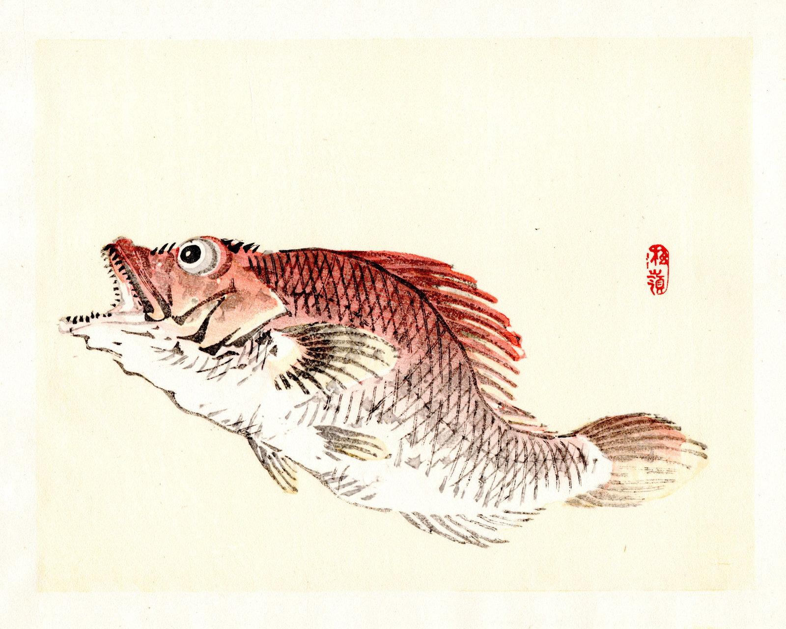 Kono Bairei : Side-Profile Carp Fish Woodblock: Artist: Kono Bairei (1884-1895). Title: "Side-Profile Carp Fish" Format: Horizontal, unframed never mounted book plate illustration from the multi-volume Bairei Gakan series. Medium: Woodblock reprint