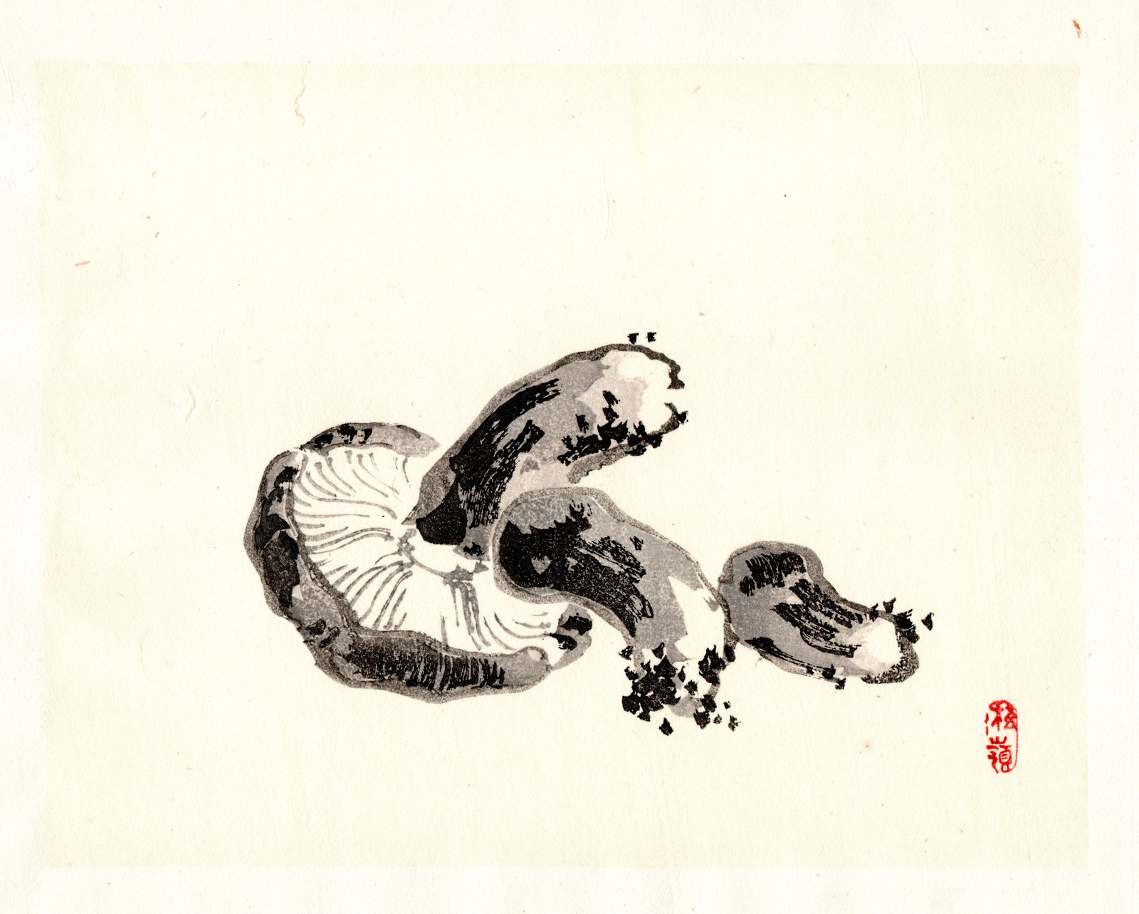 Kono Bairei : Fragmented Mushrooms Woodblock: Artist: Kono Bairei (1884-1895). Title: "Fragmented Mushrooms" Format: Horizontal, unframed never mounted book plate illustration from the multi-volume Bairei Gakan series. Medium: Woodblock reprint o