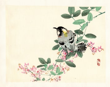 Kono Bairei : Perched Bird on Blossoming Branch Woodblock