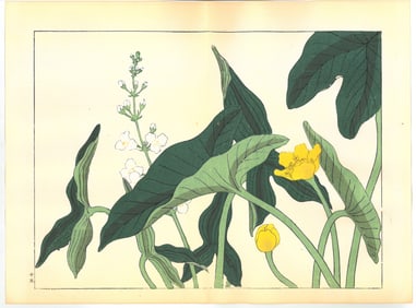 Sakai Hoitsu : Flowers of the Four Seasons Woodblock