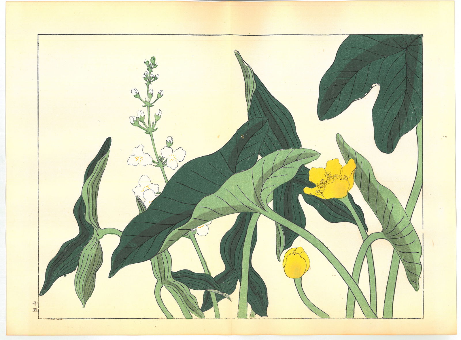 Sakai Hoitsu : Flowers of the Four Seasons Woodblock: After Artist: Sakai Hoitsu. Title: "Flowers of the Four Seasons" Date: 1967. Style: Botanicals. Place of Origin: Kyoto. Medium: Woodblock. Paper Type: Traditional handmade washi. Size: (14.1/2x11in) P