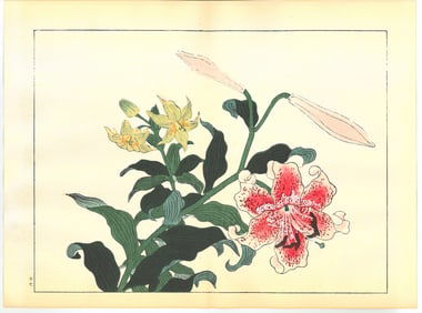 Sakai Hoitsu : Flowers of the Four Seasons Woodblock