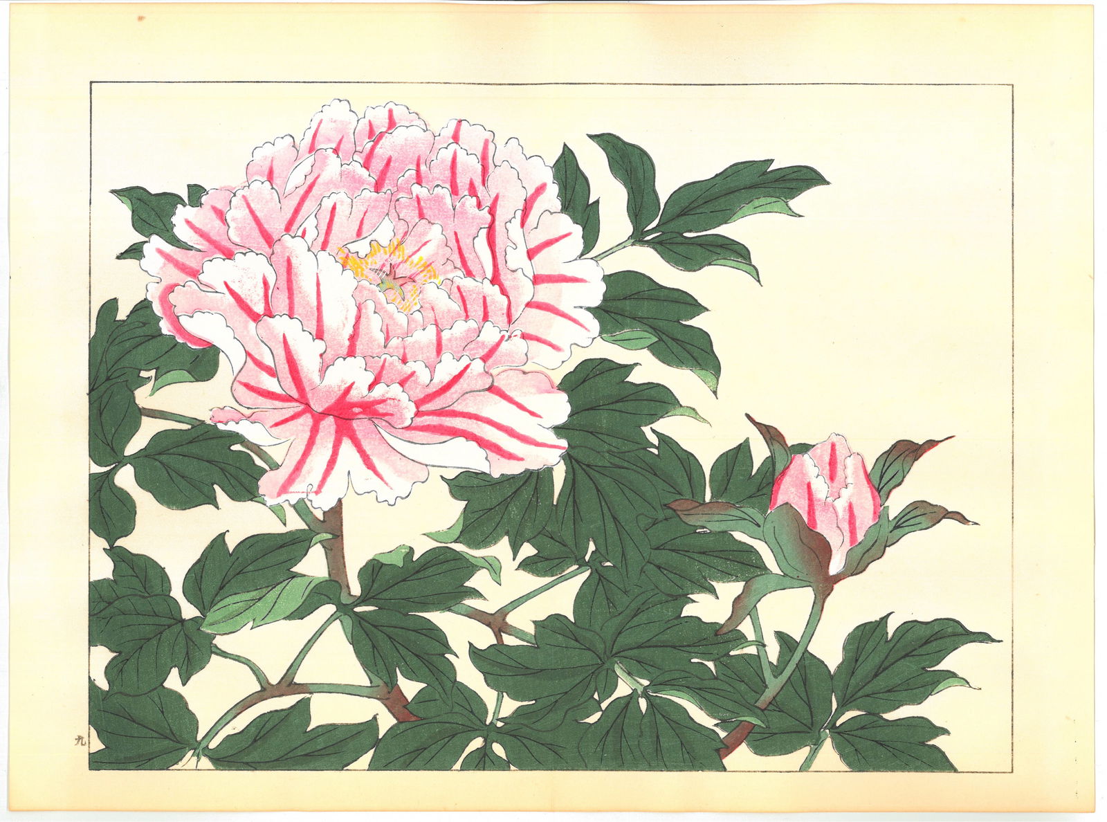 Sakai Hoitsu : Flowers of the Four Seasons Woodblock: After Artist: Sakai Hoitsu. Title: "Flowers of the Four Seasons" Date: 1967. Style: Botanicals. Place of Origin: Kyoto. Medium: Woodblock. Paper Type: Traditional handmade washi. Size: (14.1/2x11in) P