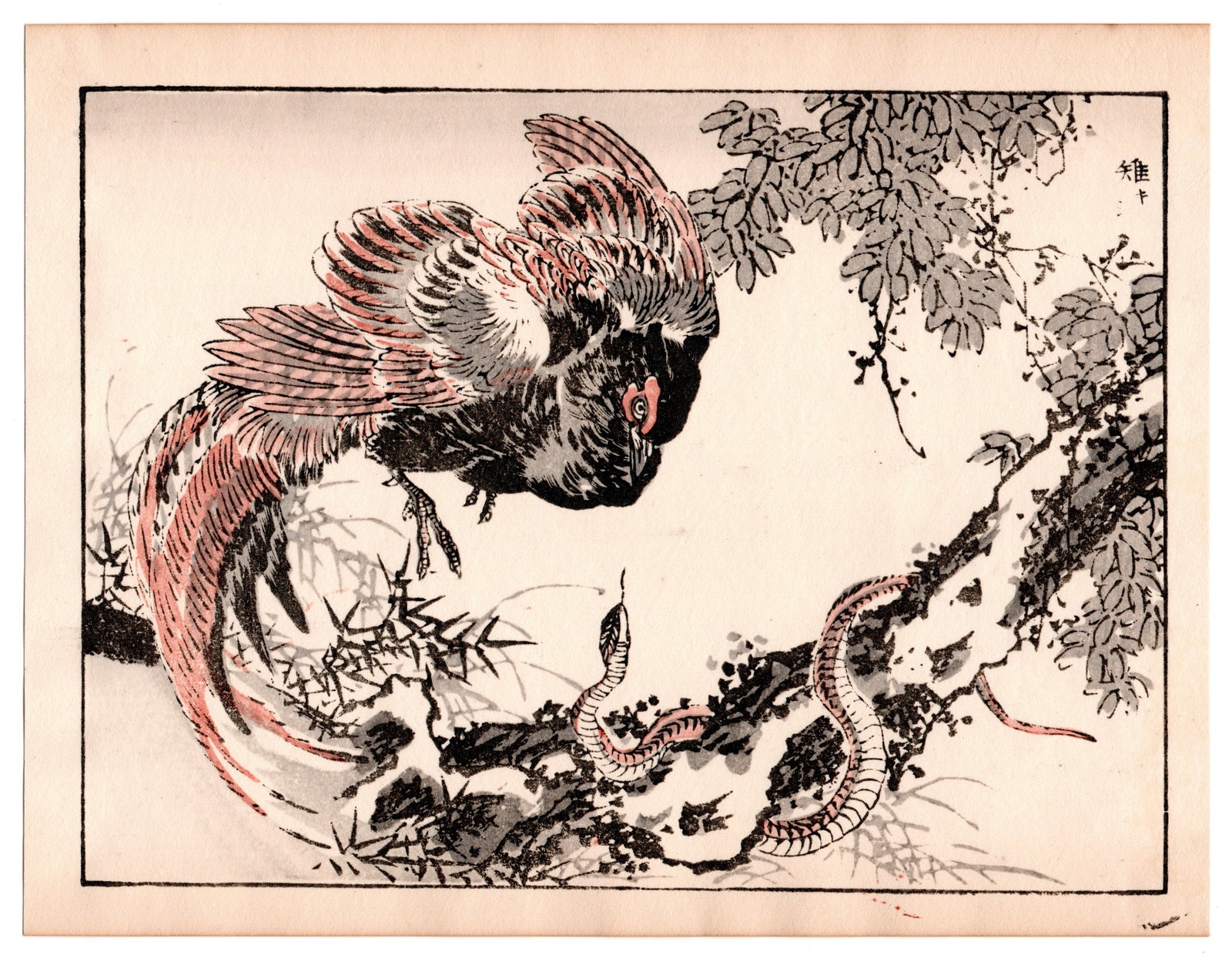 Kono Bairei : Pheasant and Serpent Woodblock: After, Kono Bairei. Title: "Pheasant and Serpent" Medium: Woodblock. Place of Origin: Japan. Date: 1950-1970, Showa period. Size: (9.1/4x7.1/4in). Publisher: Yamada. Paper Type: Traditional Handmade W
