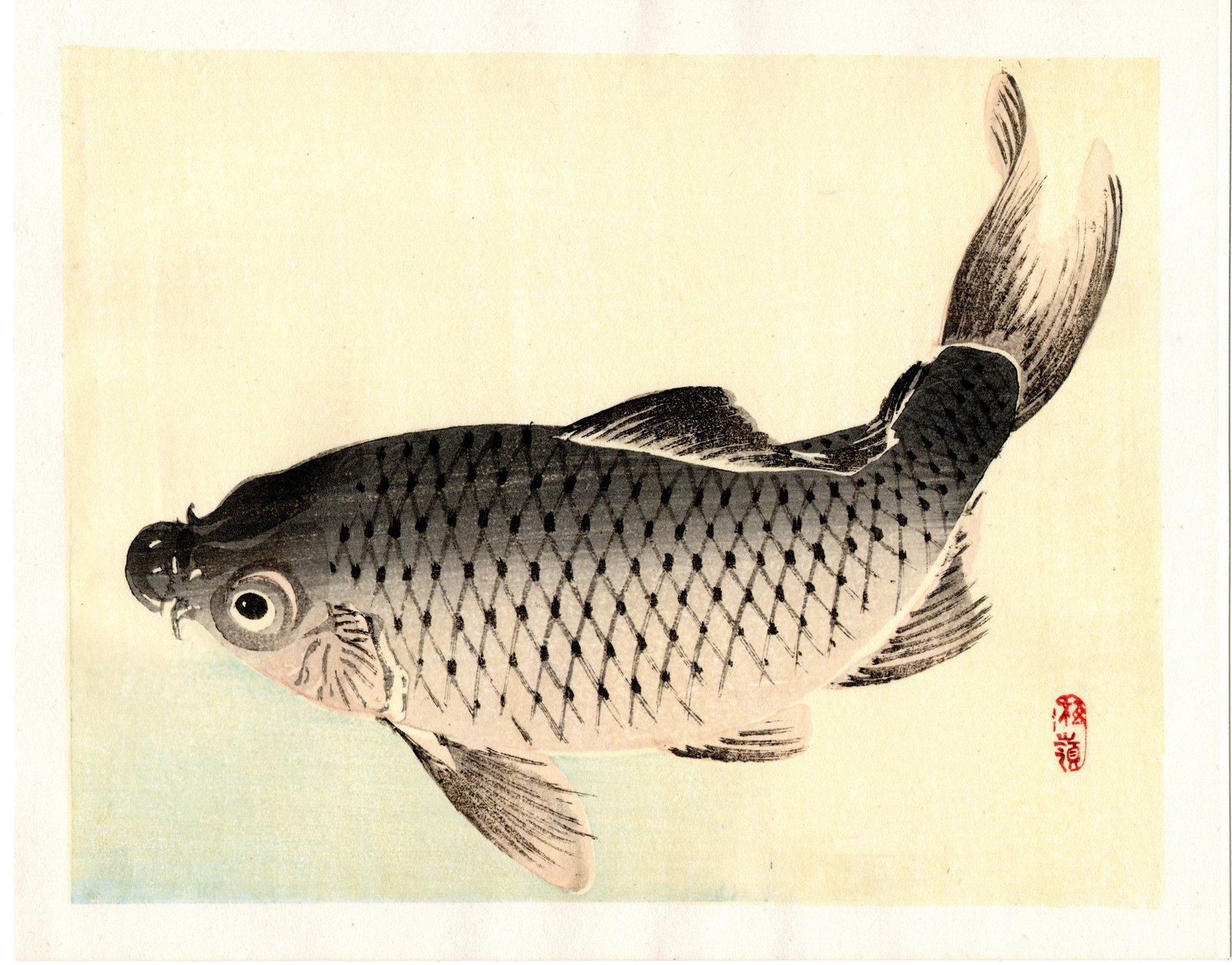 Kono Bairei : Carp in Motion Woodblock: Artist: Kono Bairei (1884-1895). Title: "Carp in Motion" Format: Horizontal, unframed never mounted book plate illustration from the multi-volume Bairei Gakan series. Medium: Woodblock reprint on wash