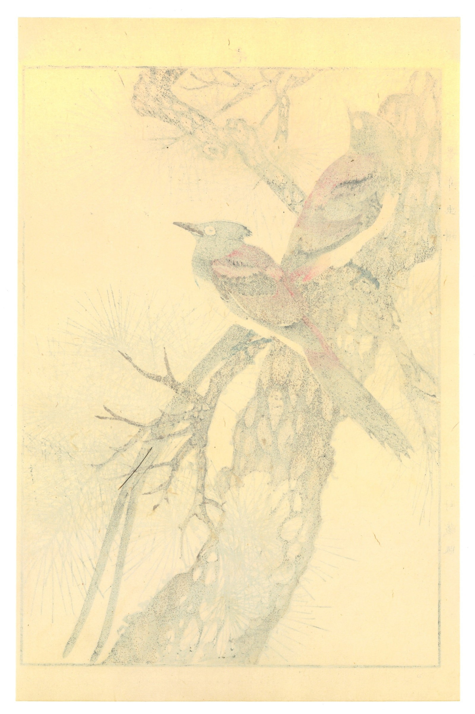 Meiji Woodblock by Keinen Imao : Birds on Pine Tree - 2