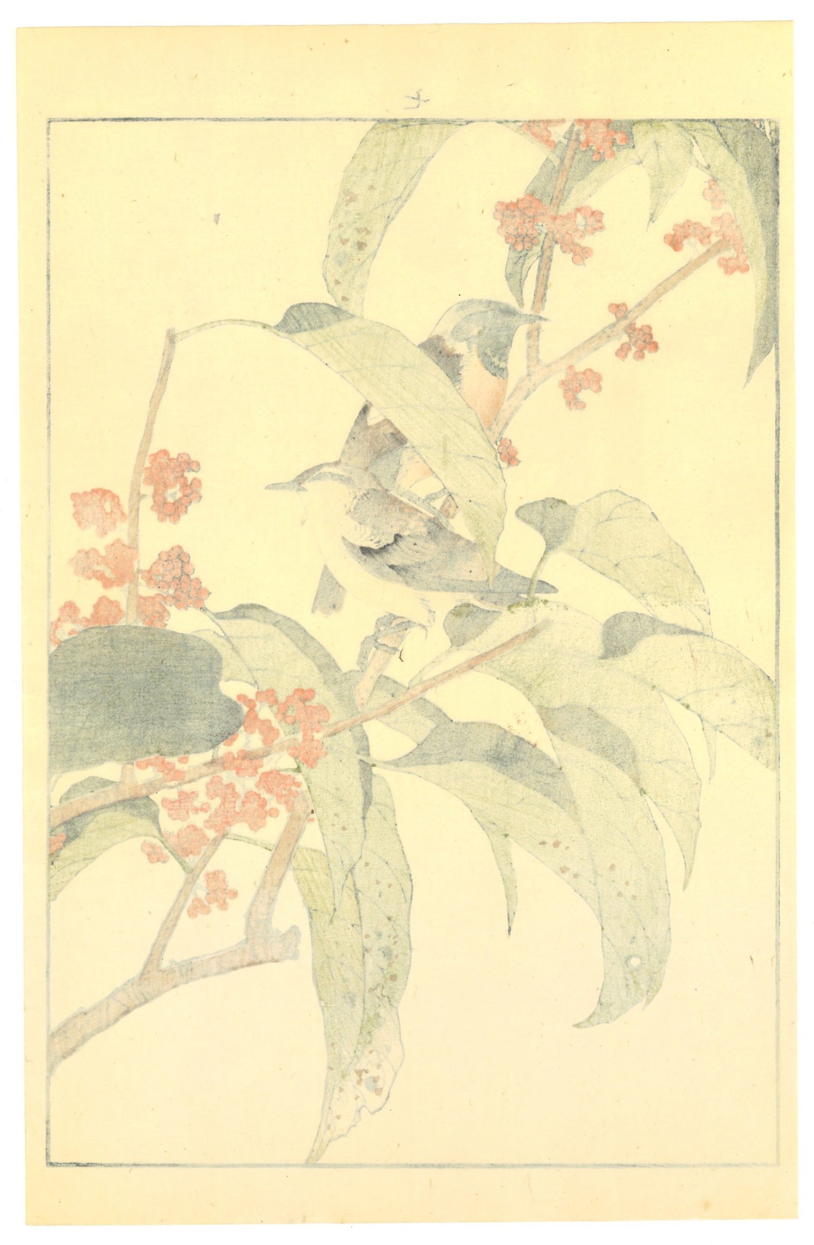 Meiji Woodblock by Keinen Imao : Birds and Berries - 2