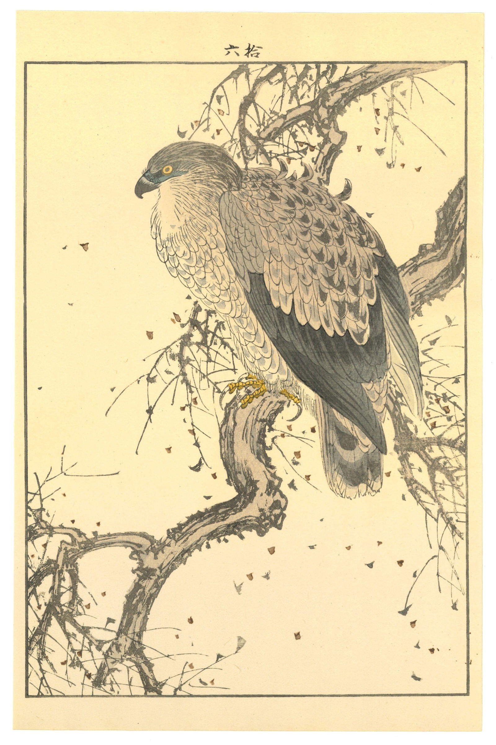 Keinen Imao : Silent Hawk on Withered Branch Woodblock (1 of 2)