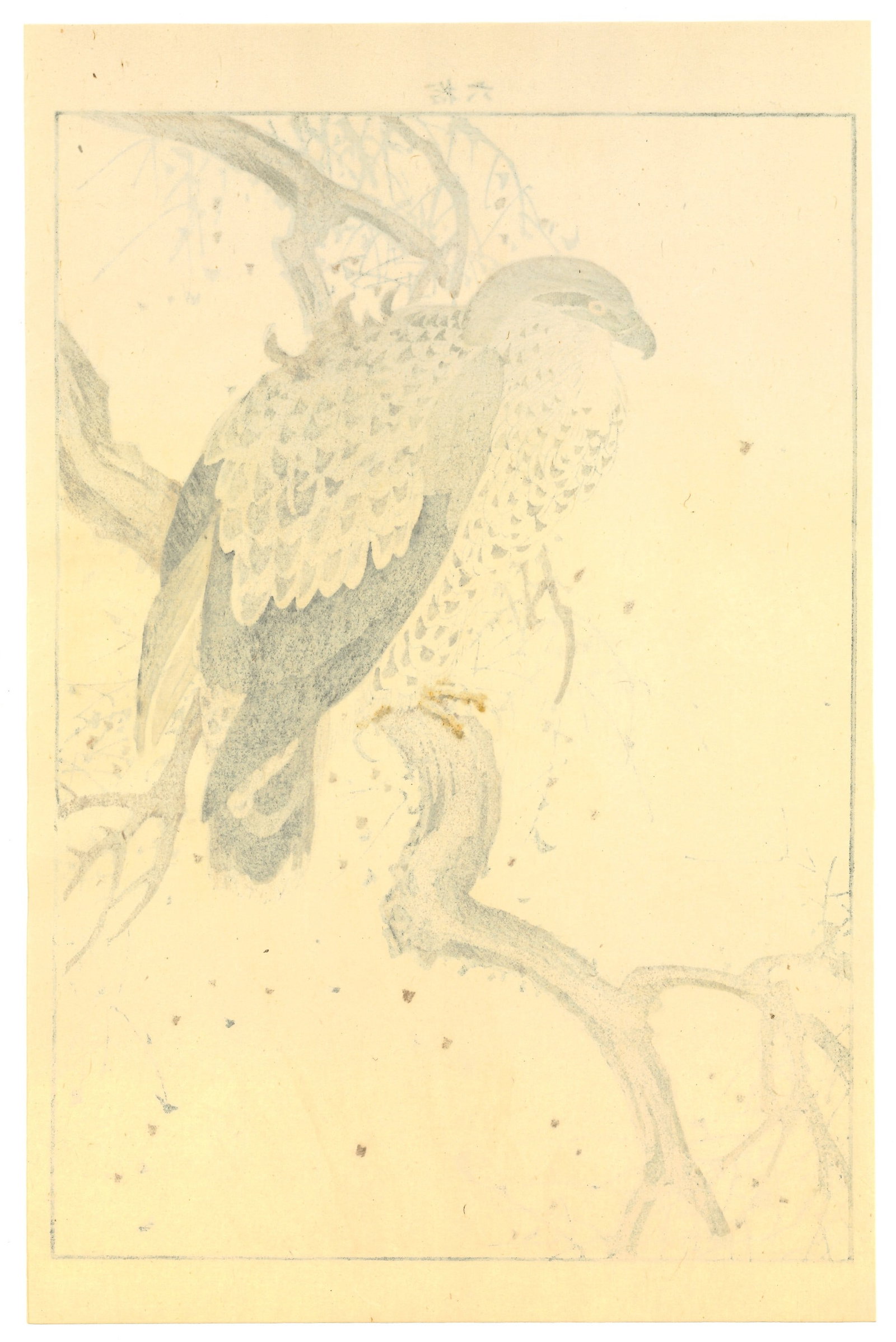 Meiji Woodblock by Keinen Imao : Silent Hawk on Withered Branch - 2