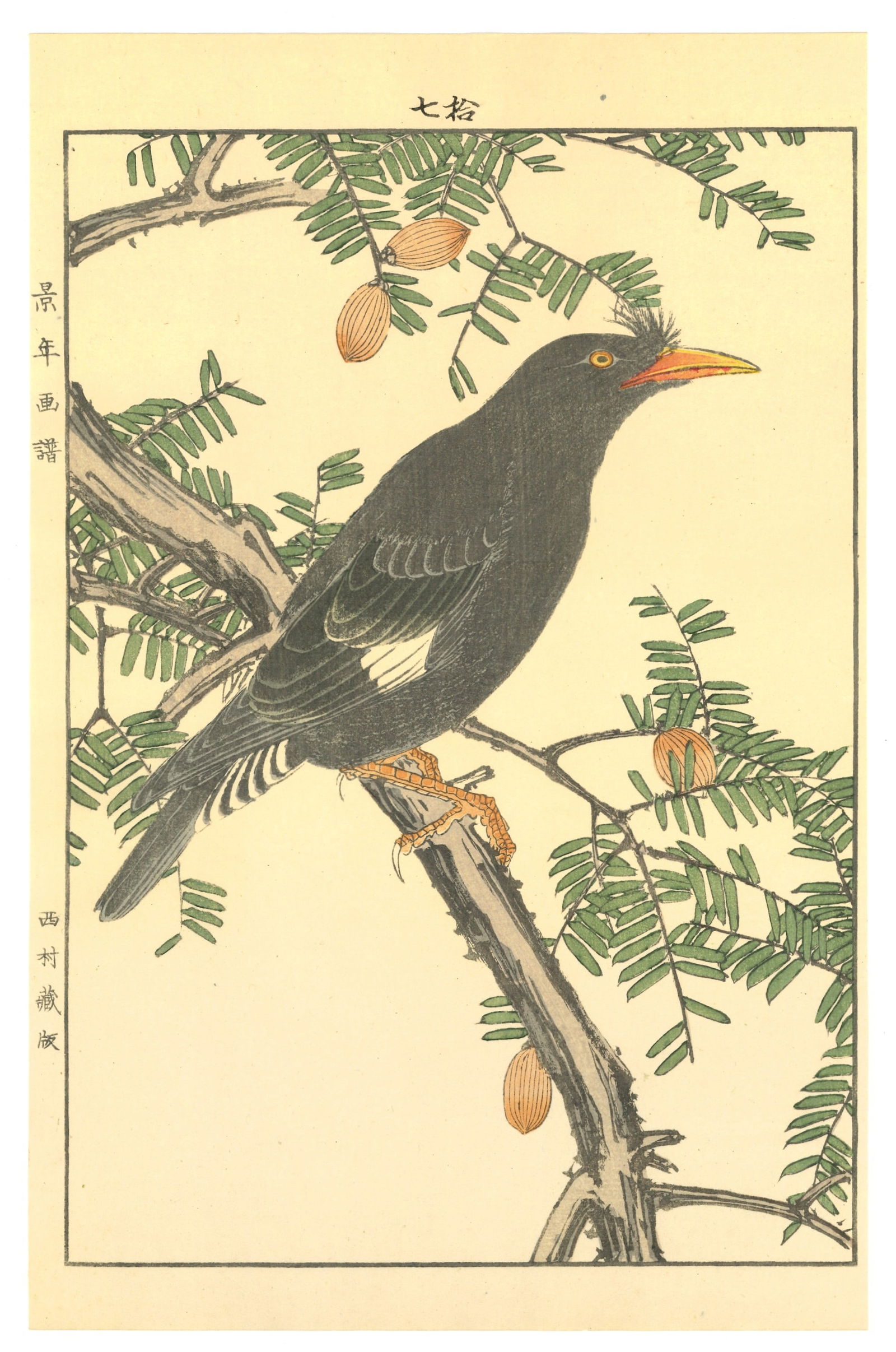 Keinen Imao : Silent Winter Perch of the Blackbird Woodblock (1 of 2)