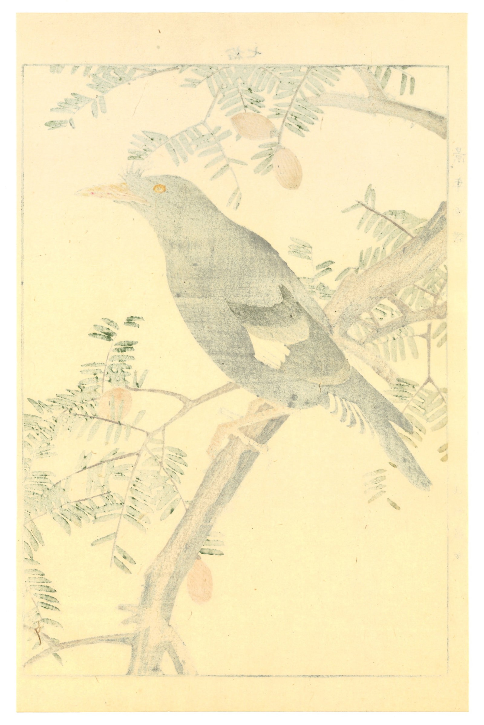 Meiji Woodblock by Keinen Imao : The Blackbird Silent Perch in Winter - 2