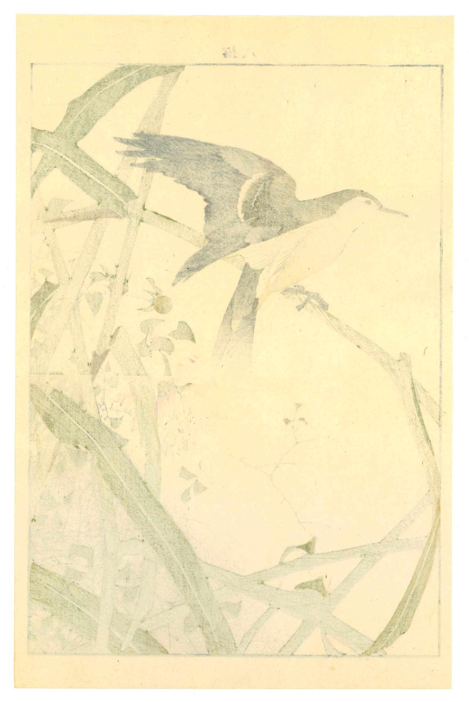 Meiji Woodblock by Keinen Imao : Perched Among Frosted Petals - 2