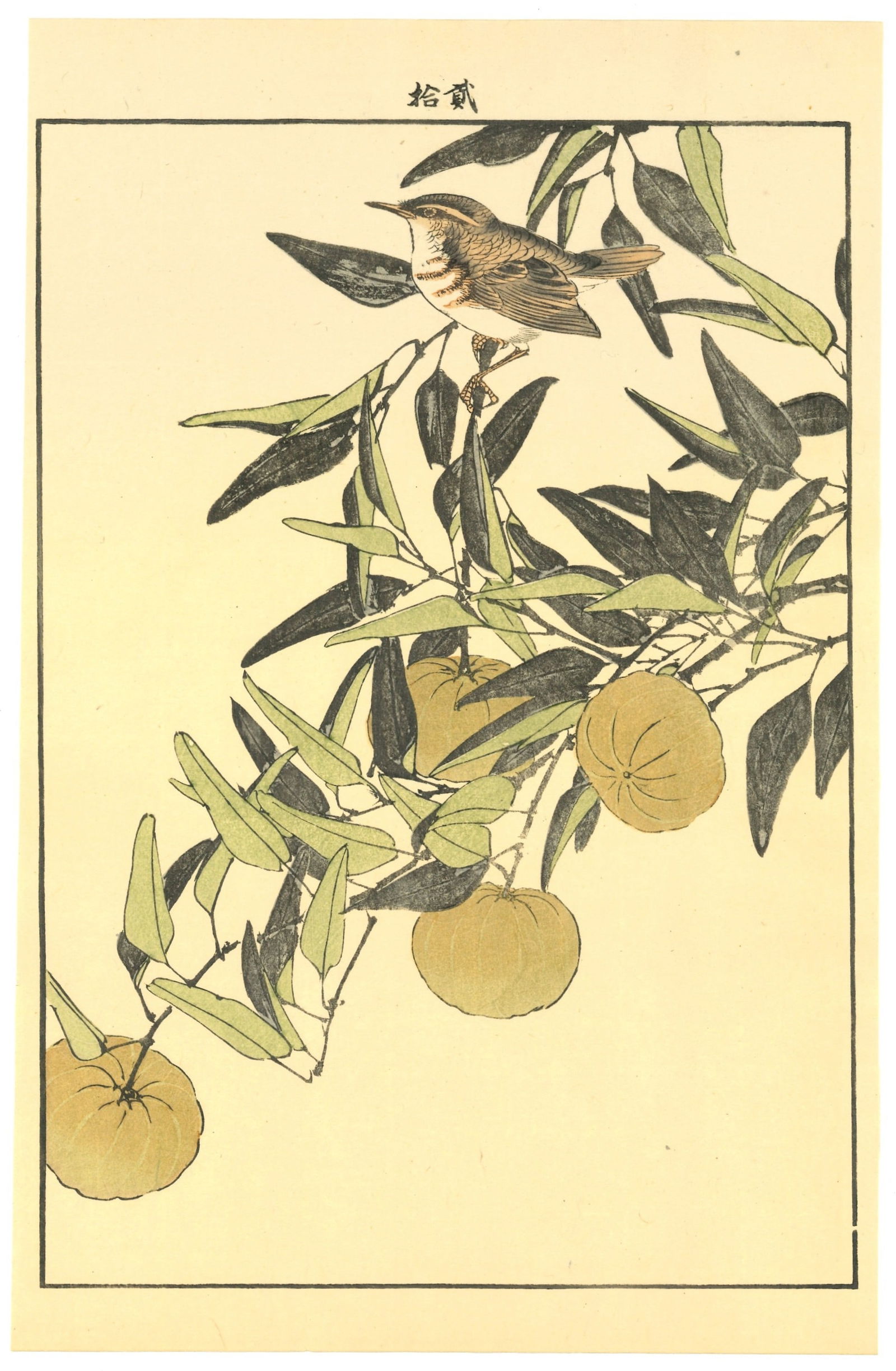 Keinen Imao : Citrus Tree with Perched Sparrow Woodblock (1 of 2)