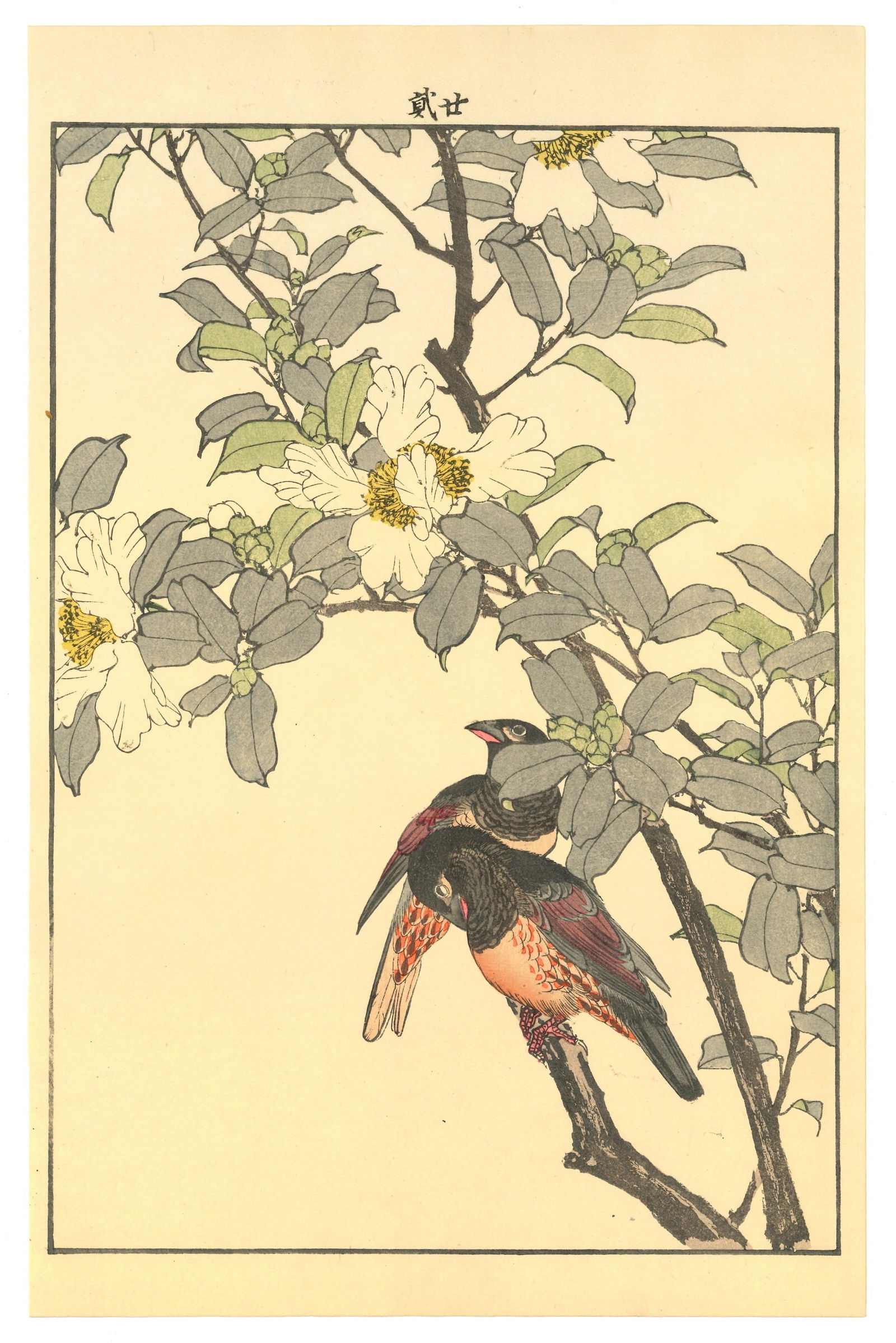 Keinen Imao : Two Birds on Camellia Branch Woodblock (1 of 2)