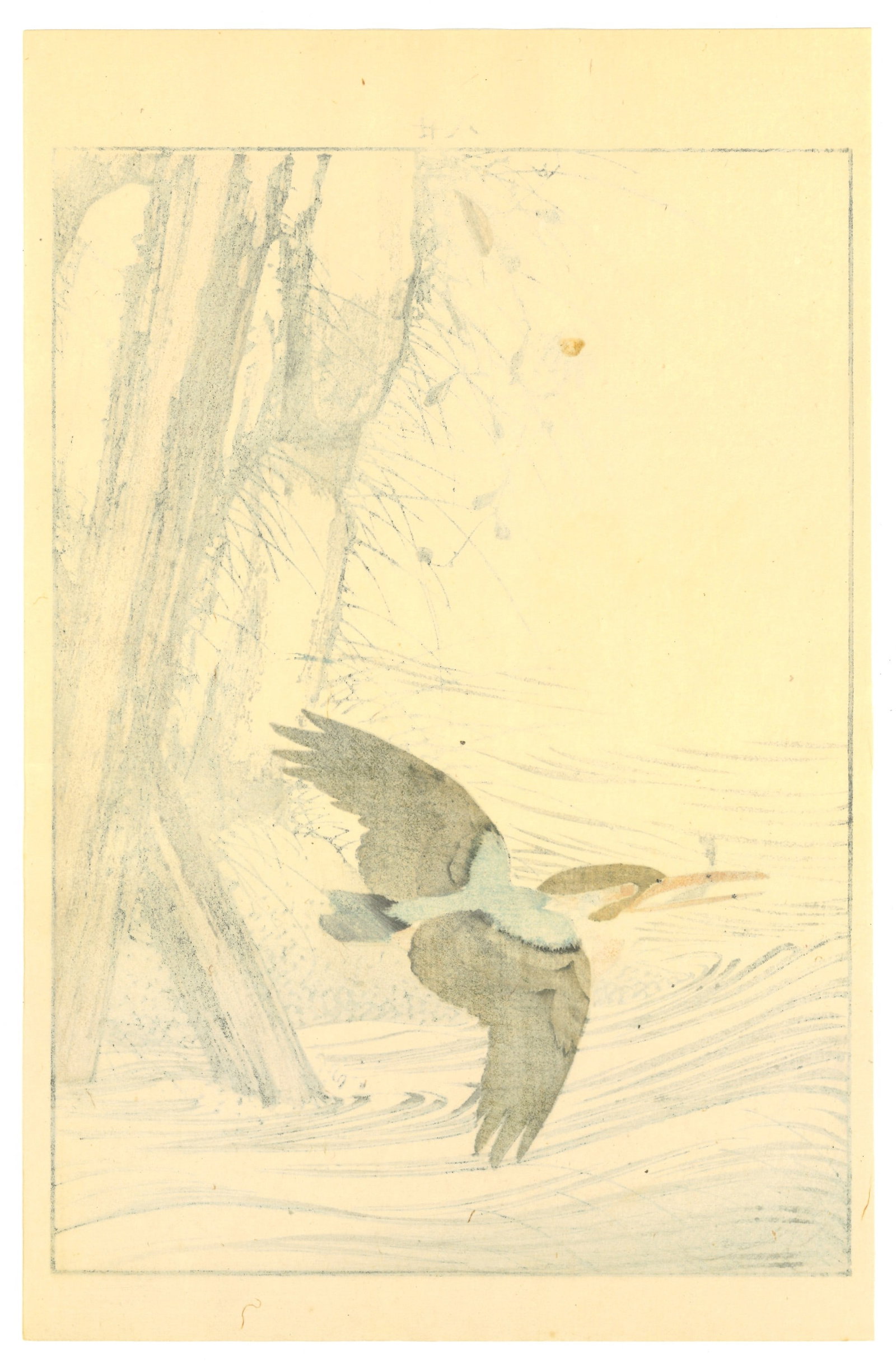 Meiji Woodblock by Keinen Imao : Kingfisher in Winter Flight - 2