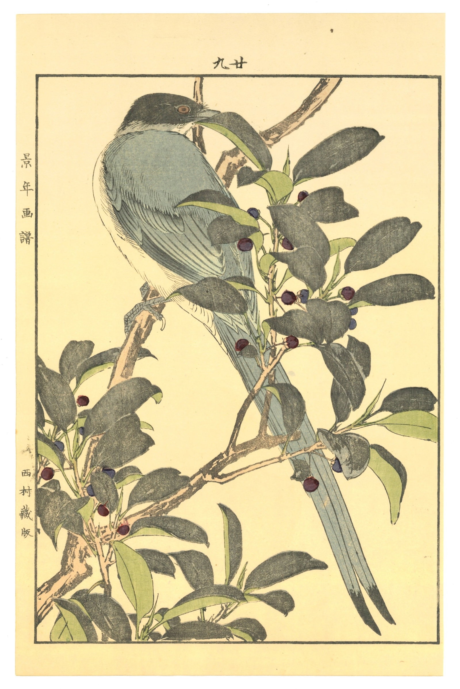 Meiji Woodblock by Keinen Imao : Long Tailed Tit on Berry Branch (1 of 2)