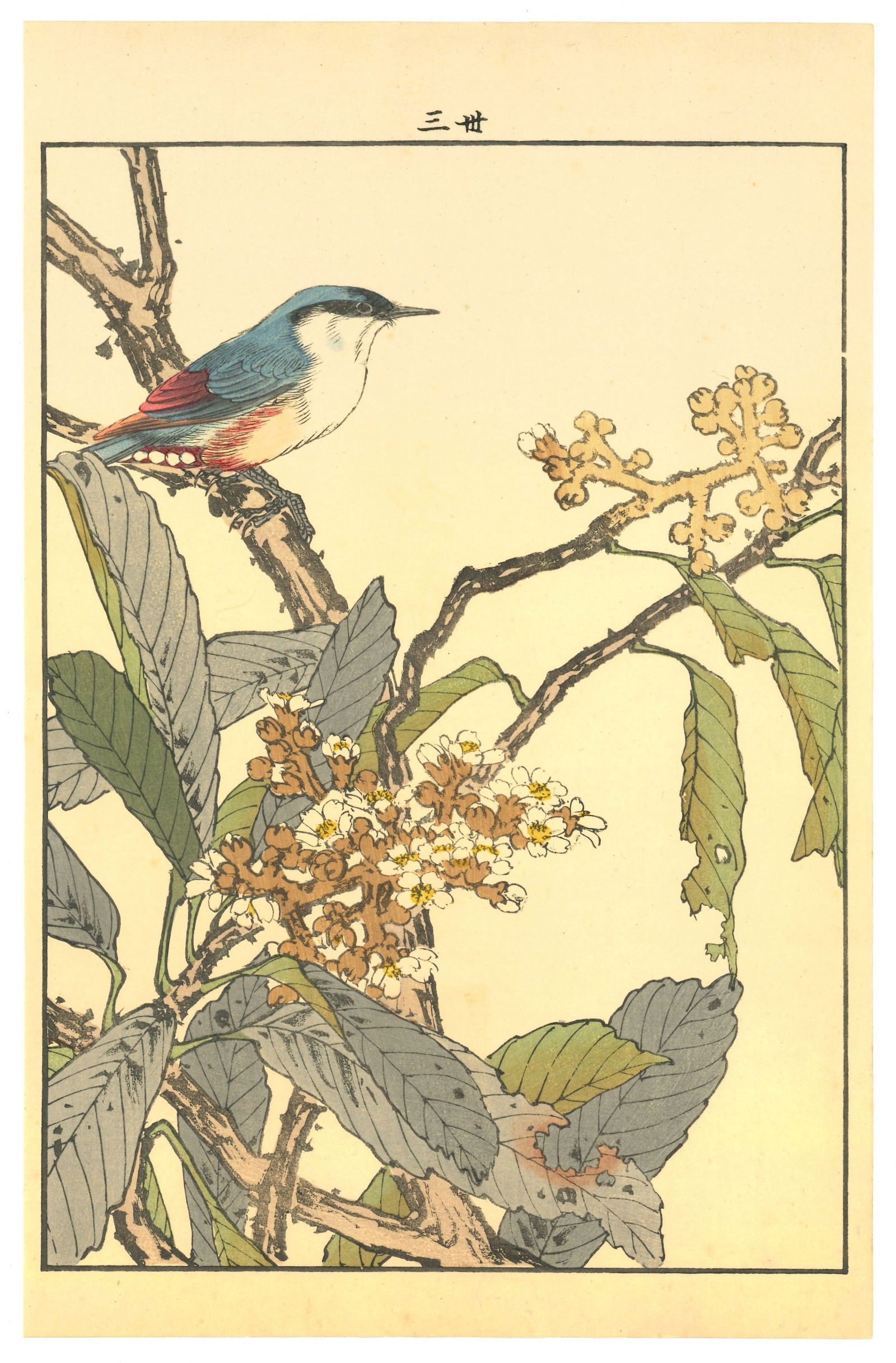 Meiji Woodblock by Keinen Imao : Flycatcher on Flowering Branch (1 of 2)