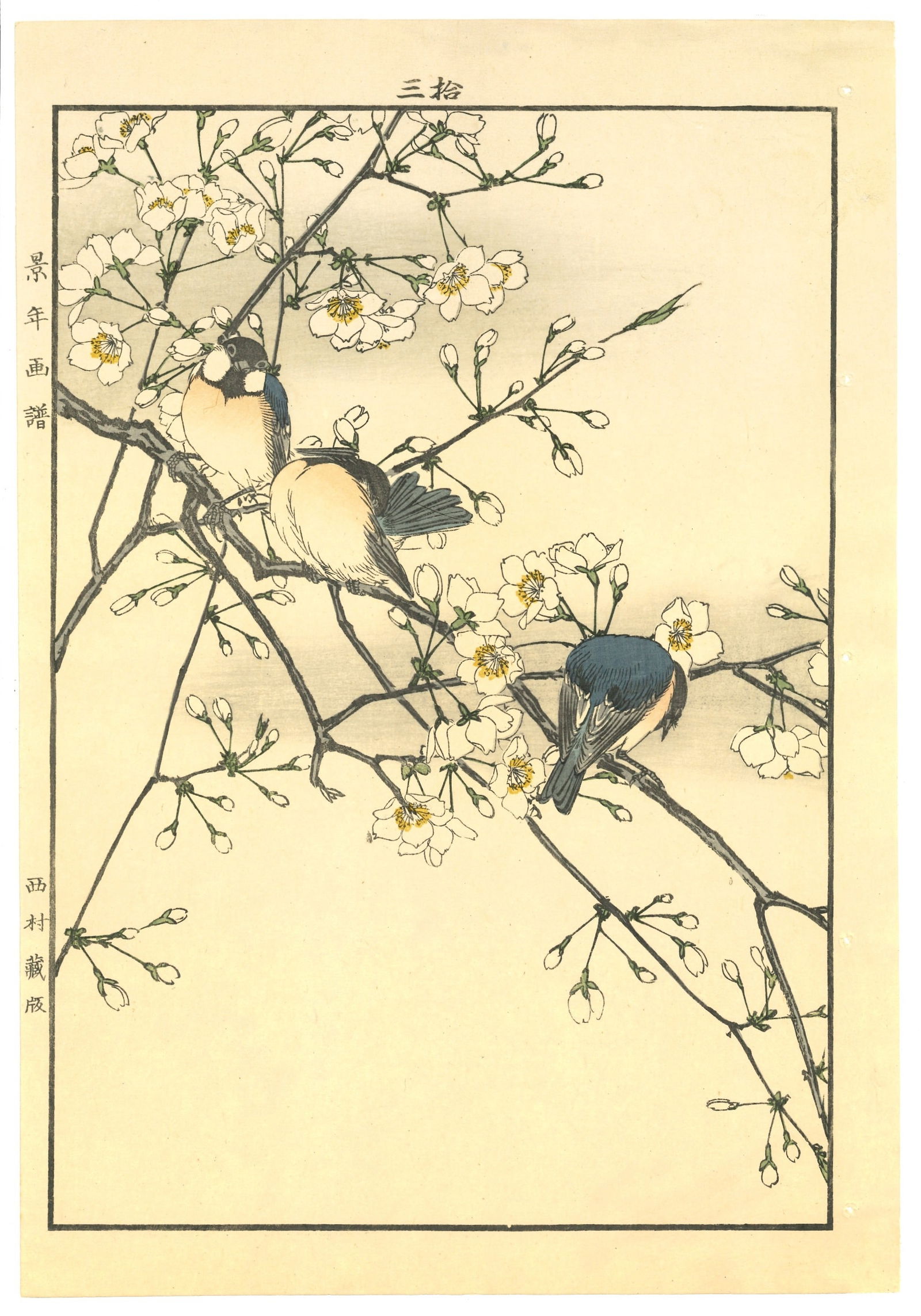 Meiji Woodblock by Imao Keinen : Three White-Eyes Among Spring Blossoms (1 of 2)
