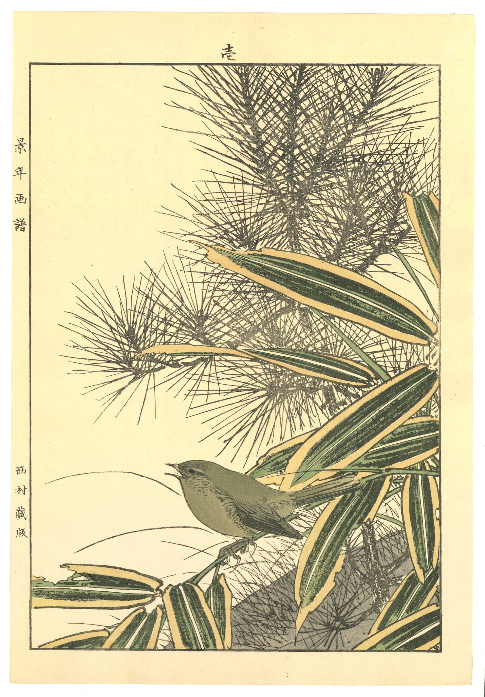 Meiji Woodblock by Imao Keinen : Uguisu Perched in Pine and Bamboo: Artist: Imao Keinen (1845-1924). Title: "Uguisu Perched in Pine and Bamboo" Publisher: Nishimura. Series: Kacho Gafu – Spring Volume 2. Size: (14.1/2x9.1/2). Medium: Woodblock. Paper Type: Washi. Pl