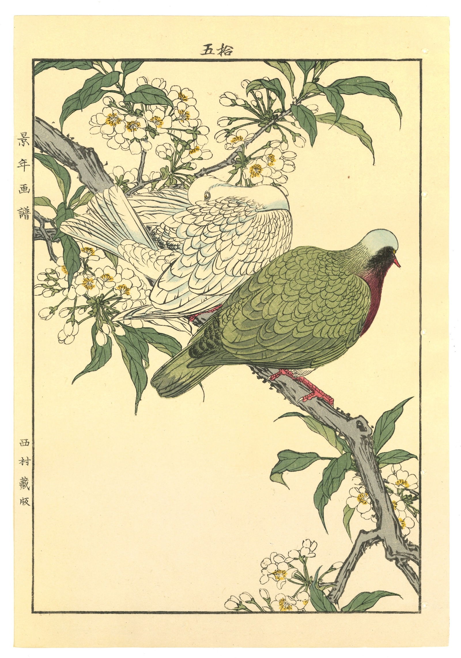 Meiji Woodblock by Imao Keinen : White Wagtail and Japanese White-eye on Branch (1 of 2)