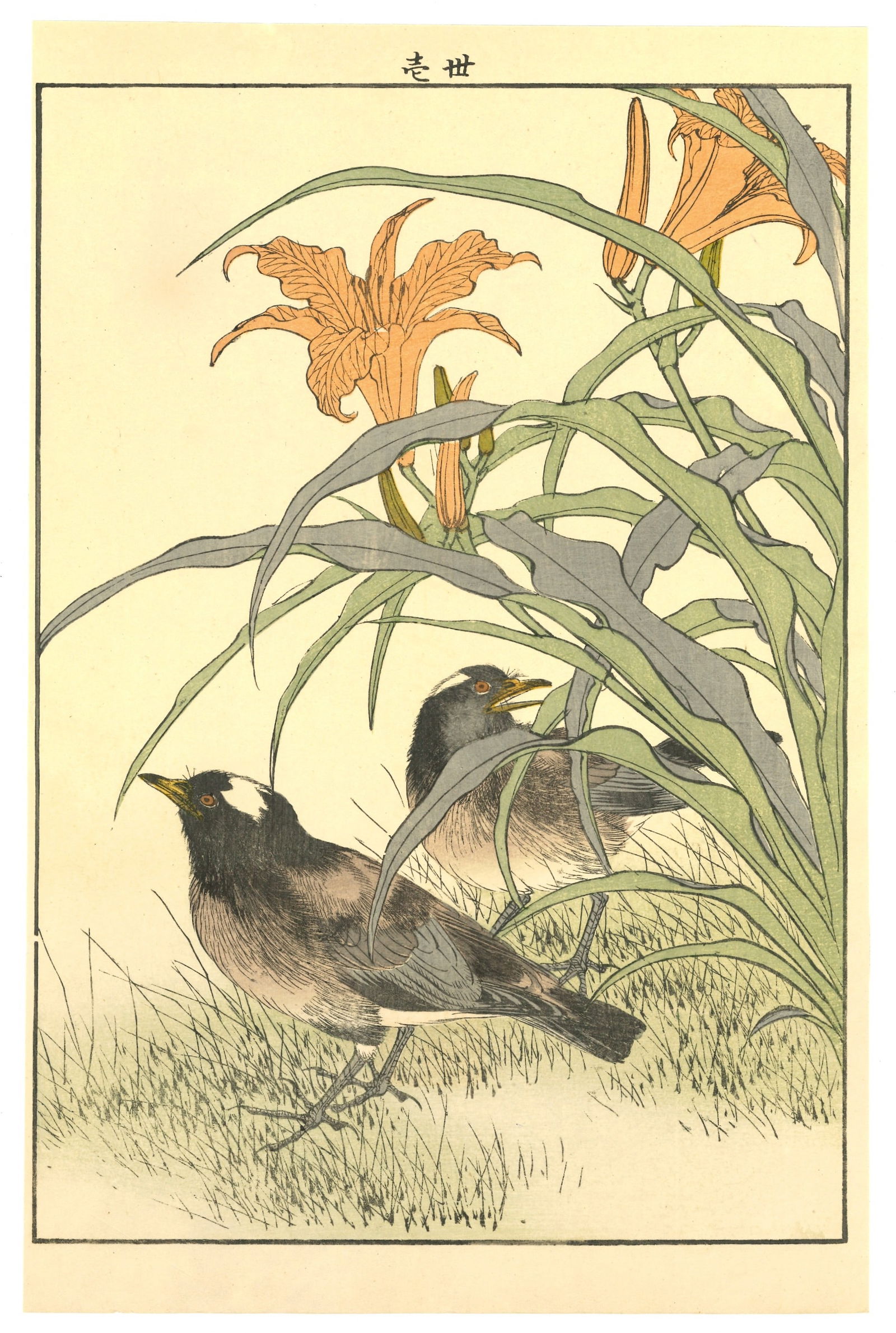 Meiji Woodblock by Imao Keinen : Two Waterhens Beneath Orange Lilies (1 of 2)