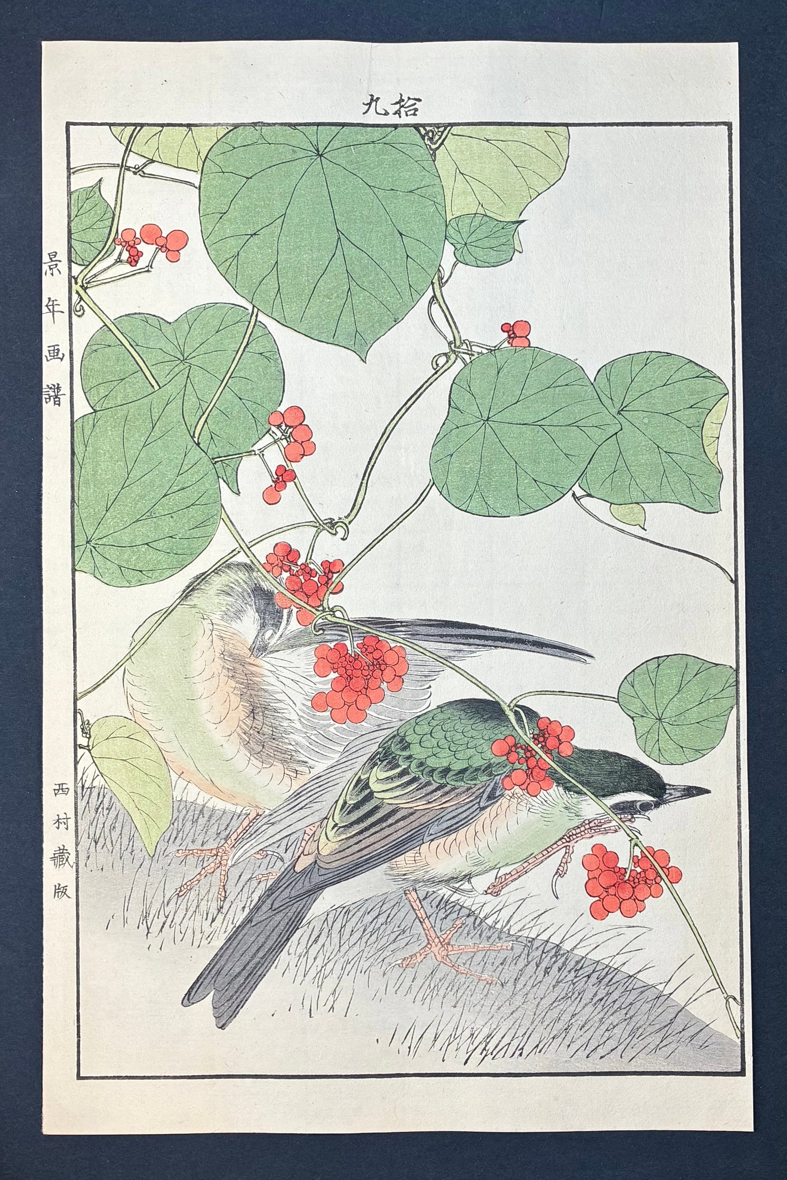 Perched Birds with Berry Cluster Woodblock Print by Imao Keinen 1904 Late Meiji Period: Imao Keinen (1845-1924). Title: "Perched Birds with Berry Cluster" Publisher: Nishimura. Editor: Tenkai. Series: Kacho Gafu – (Winter- Volume-1). Size: (14.1/2x9.1/2). Medium: Woodblock print. Paper