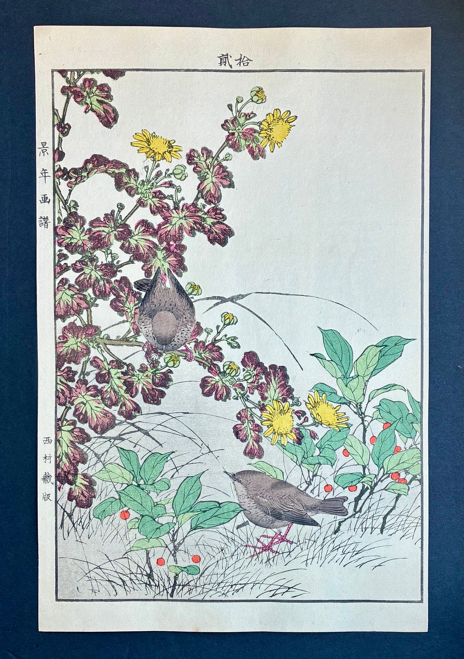 Mejiro Feeding on Flowering Branch Woodblock Print by Imao Keinen 1904 Late Meiji Period: Imao Keinen (1845-1924). Title: "Mejiro Feeding on Flowering Branch" Publisher: Nishimura. Editor: Tenkai. Series: Kacho Gafu – (Winter- Volume-1). Size: (14.1/2x9.1/2). Medium: Woodblock print. Pap