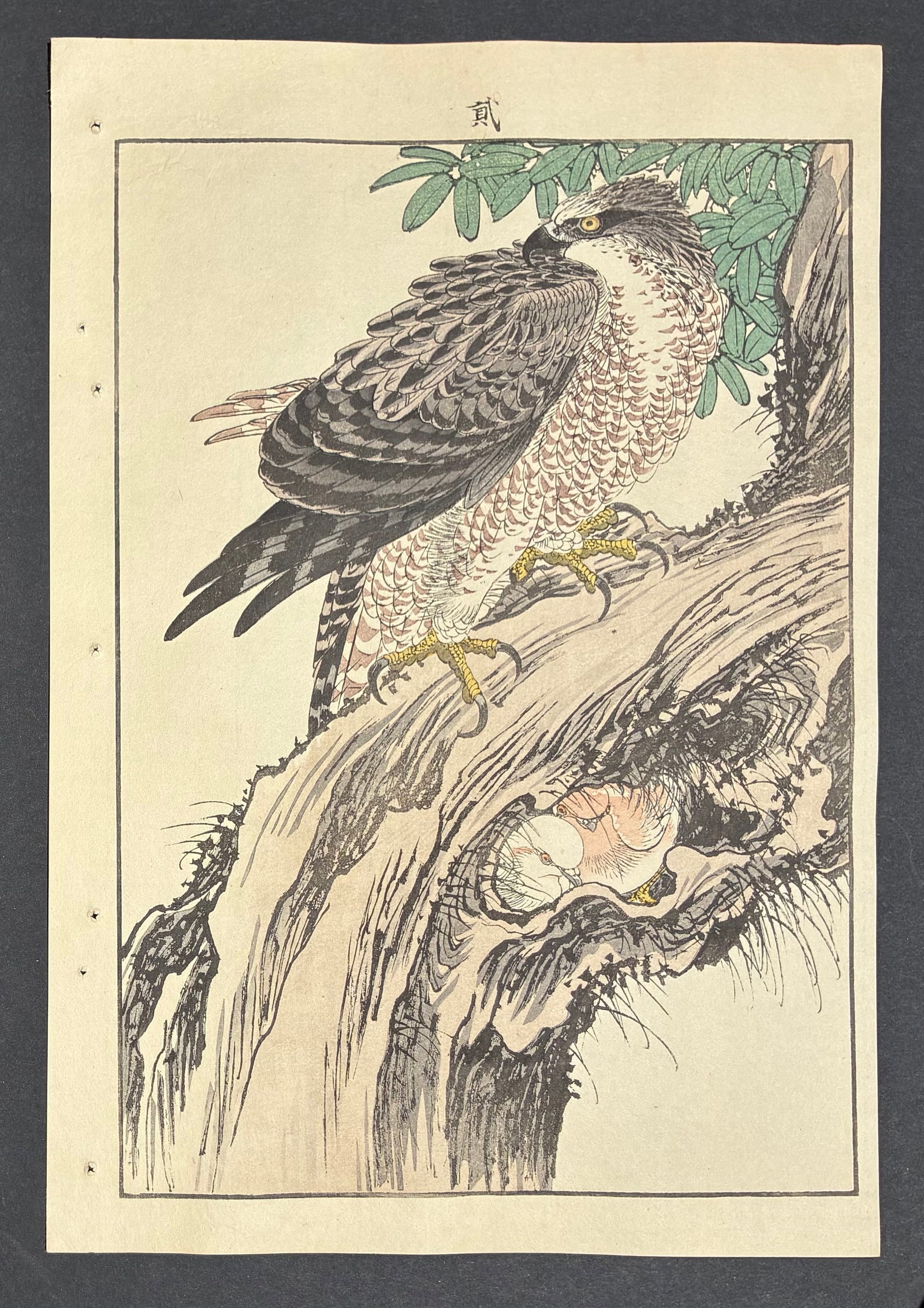 Sparrowhawk Woodblock Print by Imao Keinen (1 of 2)