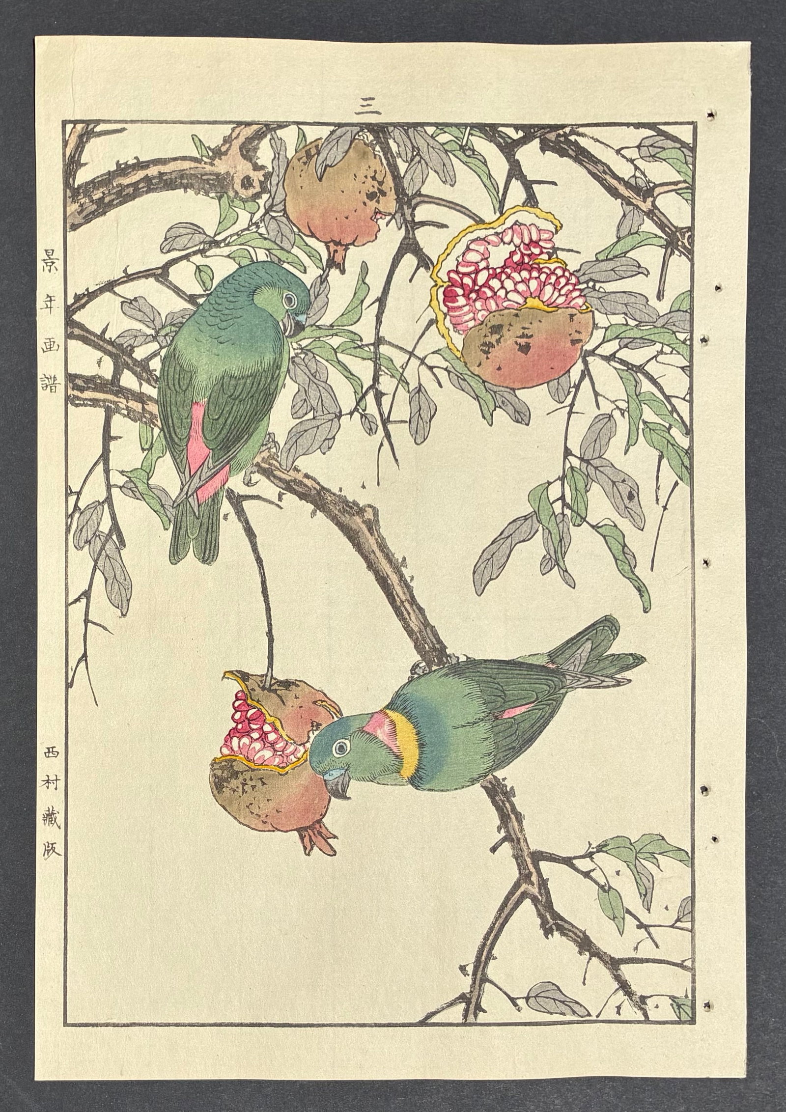 Mejiro Woodblock Print by Imao Keinen: Imao Keinen (1845-1924). Title: "Mejiro" Publisher: Nishimura. Editor: Tenkai. Series: Kacho Gafu – (Autumm- Volume-4). Size: (14.1/2x9.1/2). Medium: Woodblock print. Paper Type: Washi. Place of Ori