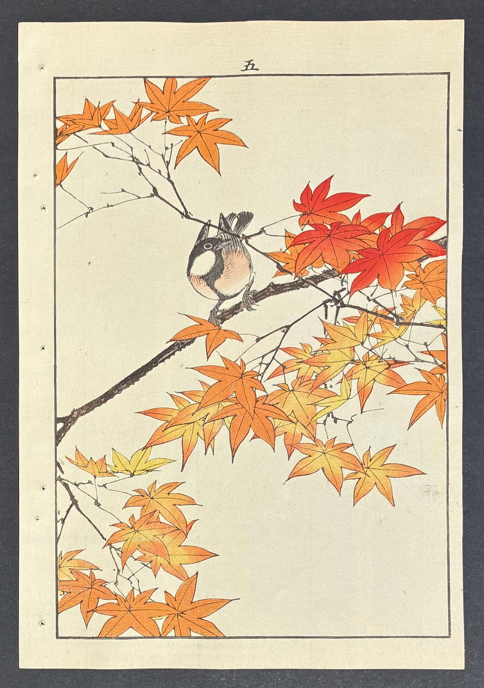 Parus Minor Woodblock Print by Imao Keinen: Imao Keinen (1845-1924). Title: "Parus Minor" Publisher: Nishimura. Editor: Tenkai. Series: Kacho Gafu – (Autumm- Volume-4). Size: (14.1/2x9.1/2). Medium: Woodblock print. Paper Type: Washi. Place o