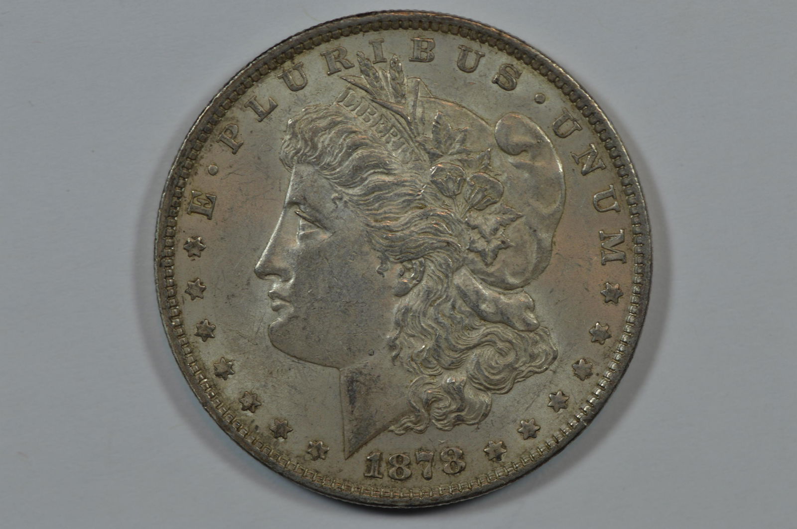 $1.00 Silver 1878 7TF, Rev '79. (1 of 2)