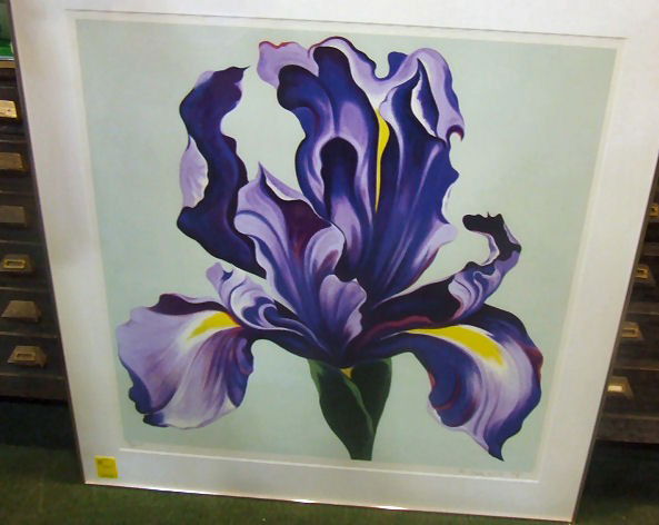 Large Lowell Nesbitt signed print of iris, 179/250: Large Lowell Nesbitt signed print of iris, 179/250, 32" X 31" image, dated 1980
