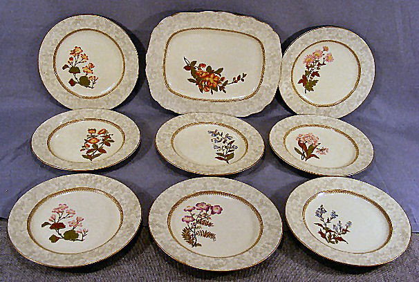 8 antique Royal Worcester hand decorated 9.5" plat: 8 antique Royal Worcester hand decorated 9.5" plates # W 3043 and 12.5" platter, minor gold wear