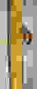 item-10283234=4
