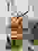 item-10599445=2