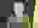 item-11807181=3