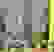 item-11807185=2