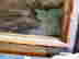item-11807190=3