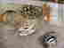 item-11908553=6