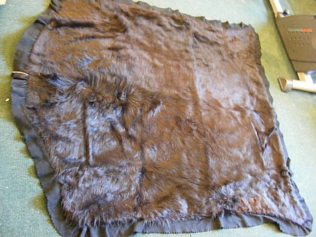 Early 1900's bear skin sleigh/ auto blanket, 57" : Early 1900's bear skin sleigh/ auto blanket, 57" X 62", very good condition