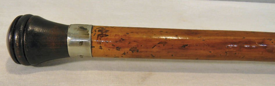 Sword cane with carved dog head handle, 15" singl: Sword cane with carved dog head handle, 15" single edged blade blued & gilded, twist release, 34.75 wood sheath converted from older cane, circa 1890
